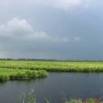 Uitzicht over landbouwvelden (1)