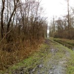 Natuurgebied De Brand (2)