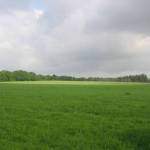 Uitzicht over akkerland