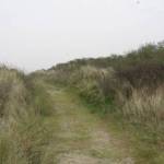Pad door de duinen