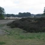 Het Wekeromse Zand (1)