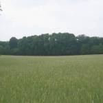 Uitzicht over de akker