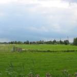 Boerderij in het groen