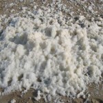 Schuim uit de zee (1)