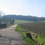 Weidse uitzichten (1)