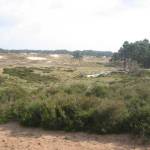 Het Wekeromse Zand (2)