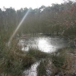 IJs op het water (1)