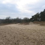 Nationaal Park de Loonse en Drunense Duinen (1)
