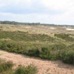 Het Wekeromse Zand (3)