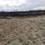 Nationaal Park de Loonse en Drunense Duinen (2)