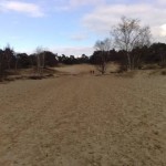 Nationaal Park de Loonse en Drunense Duinen (3)