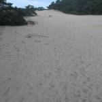 Het Wekeromse Zand (5)