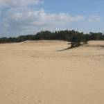 Het Wekeromse Zand (6)