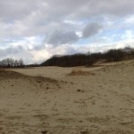 Nationaal Park de Loonse en Drunense Duinen (4)