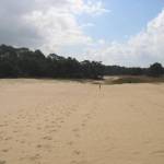 Het Wekeromse Zand (7)