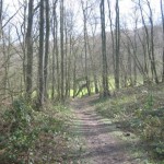 Bos en akkerland (1)