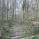 Bos en akkerland (2)