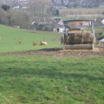 Bos en akkerland (3)