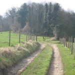 Bos en akkerland (4)