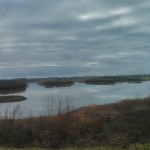 Amerongse Bovenpolder (1)