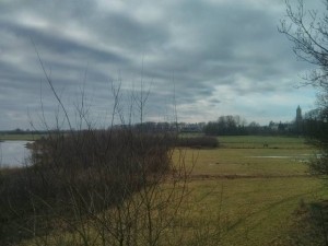 Amerongse Bovenpolder (2)