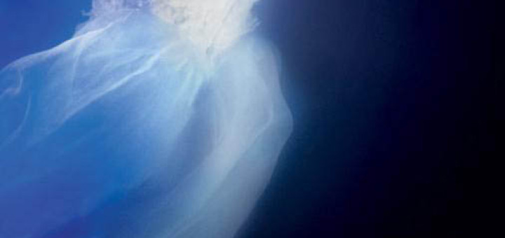 Camilla Läckberg - Zeemeermin