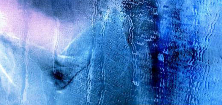 Camilla Läckberg - Zusje