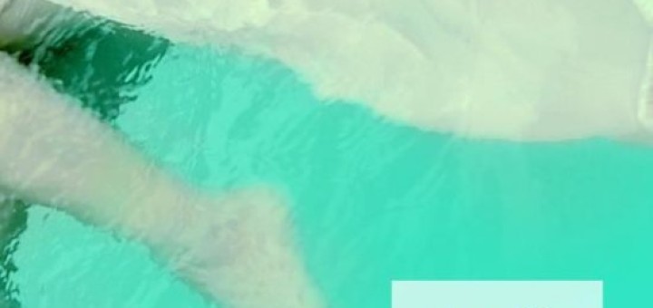 Camilla Läckberg - Sneeuwstorm en amandelgeur