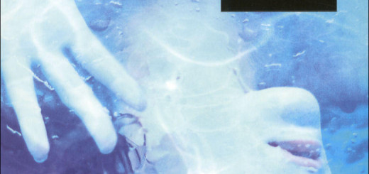 Camilla Läckberg - Vuurtorenwachter