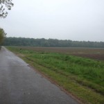 Vanuit Gasselte liepen we over deze weg naar het bos Gasselterveld.