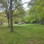 In Rolde staan, vlak achter de kerk, twee hunebedden.