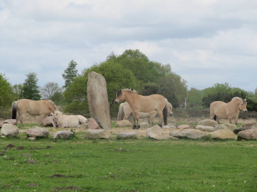 Bij het begin van het natuurgebied Balloërveld staat dit monument langs het Pieterpad.