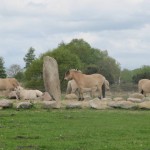 Bij het begin van het natuurgebied Balloërveld staat dit monument langs het Pieterpad.