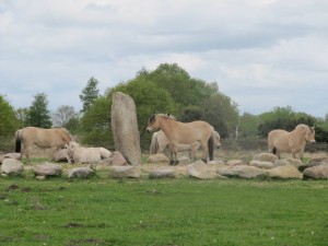 Bij het begin van het natuurgebied Balloërveld staat dit monument langs het Pieterpad.