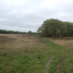 Vanaf hier moet je een karrespoor volgen.