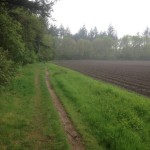 Hier een bewijs dat bos en landbouwgrond heel goed samengaan.