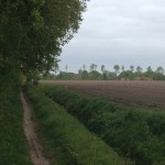 Vanaf het te volgen pad hadden wij dit uitzicht op Anloo.