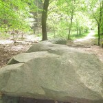 Midden in de bossen kwamen langs het Hunebed D11 Anloo.