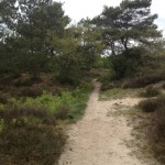 In het Nationaal Landschap Drentsche Aa vind je dit paadje.