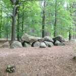 Midden in de bossen kwamen langs het Hunebed D11 Anloo.