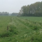 Vanuit het bos zijn wij nog een heel stuk gaan lopen over zo een soort graspad.