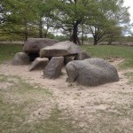 In het Nationaal Landschap Drentsche Aa vind je dit gave hunebed.