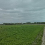 Onderweg zagen we nog deze donkere luchten.