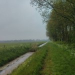 Vanuit het bos zijn wij nog een heel stuk gaan lopen over zo een soort graspad.