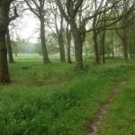 Dit is een heel mooi slingerend pad door de Drentsche natuur.