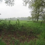 We liepen best wel langs veel mooie natuur.