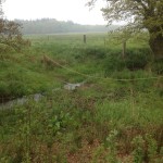 Onderweg zagen we ook nog deze oversteek over het smalle beekje. Verderop lag wel een brug.