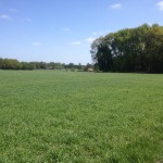 Een fraai uitzicht over een veld met wat bos ernaast.