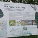 Tijdens de wandeling zijn wij door het Andersche Diep gelopen. Een mooi natuurgebied.