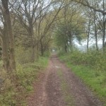 Een leuk boeren weggetje.